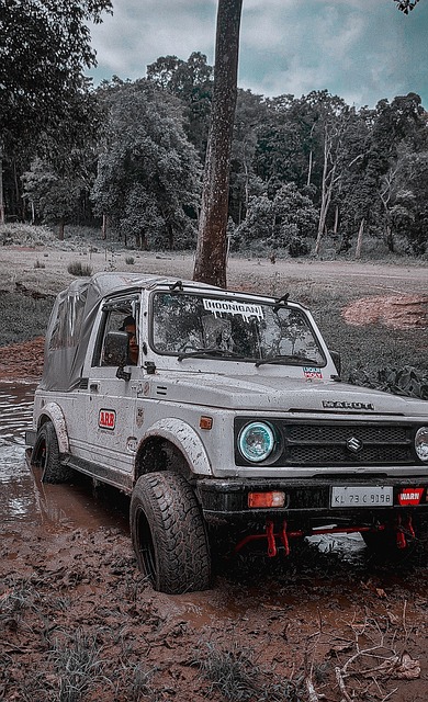 毫无疑问 毫无疑问