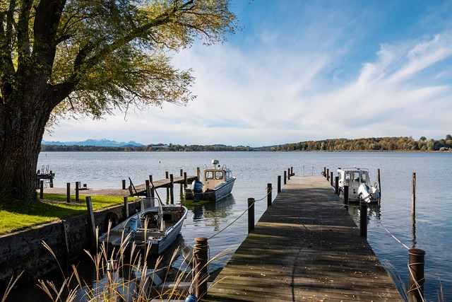 次公布倪夏 次公布倪夏