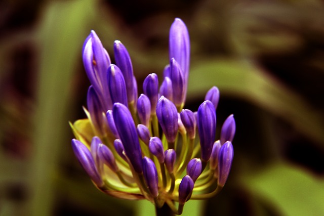 造成难以弥 造成难以弥