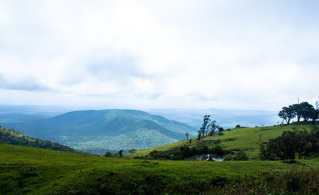 阶段的节奏 阶段的节奏