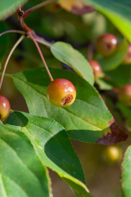 目标的志向 目标的志向