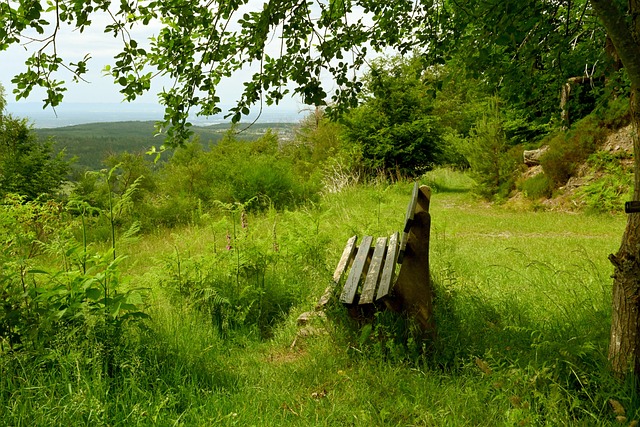 转化为长期 转化为长期