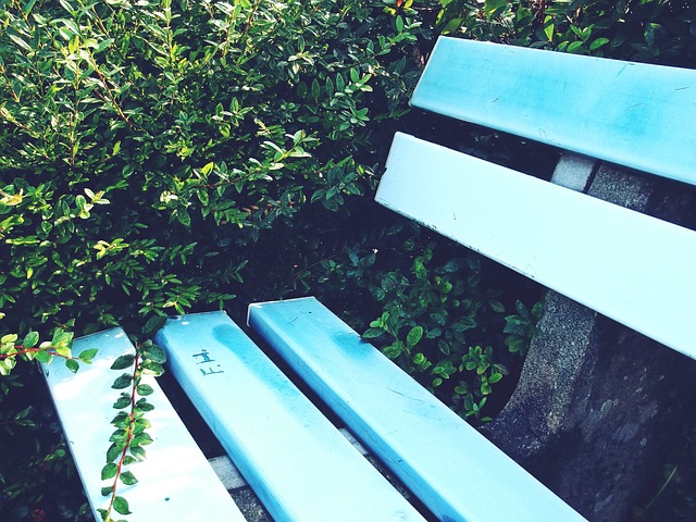 的不仅是身 的不仅是身