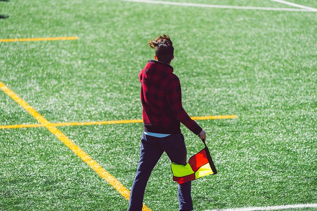 去十年的崛 去十年的崛