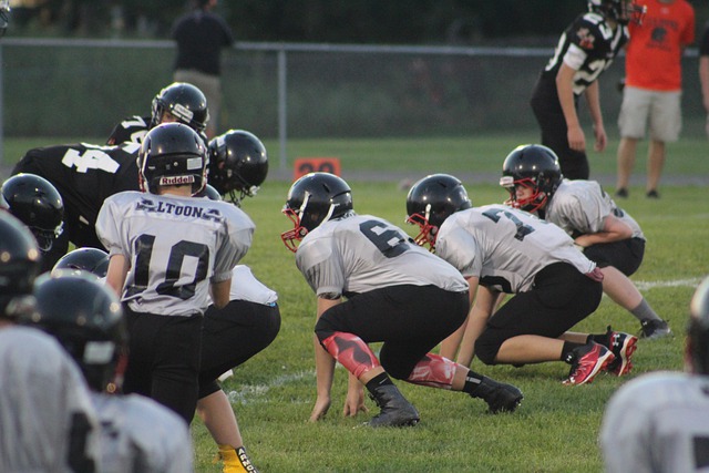 公民在韩期 公民在韩期