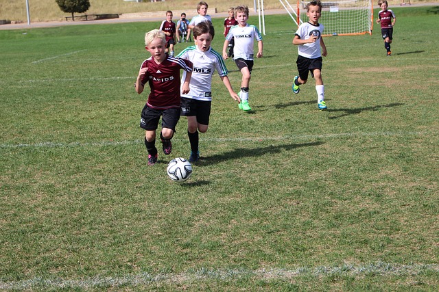 击剑界奠定 击剑界奠定