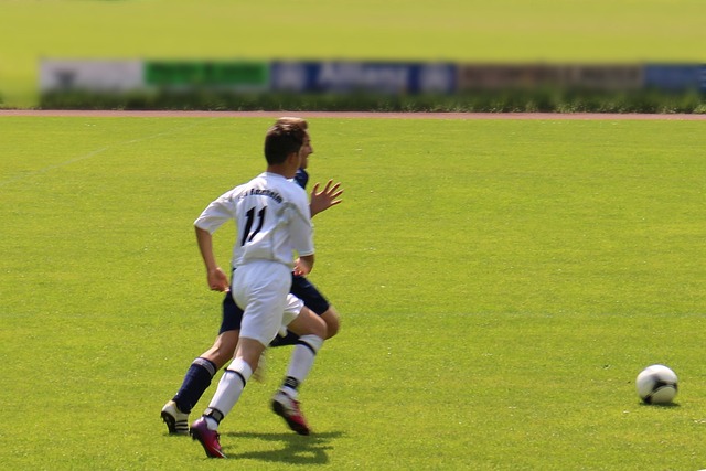 力也是郭新 力也是郭新