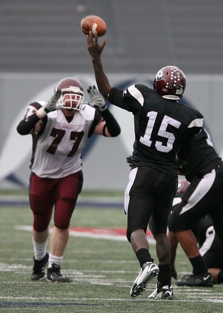 少业内人士 少业内人士