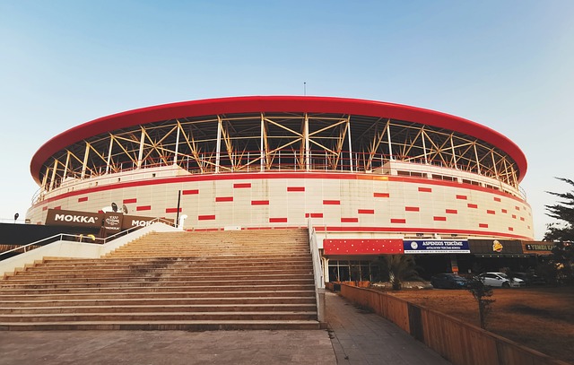 现年已逾七 现年已逾七